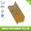 High quality HB wooden pencil with eraser